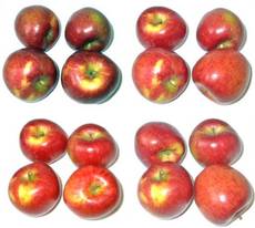 Äpfel-B-4x4.jpg